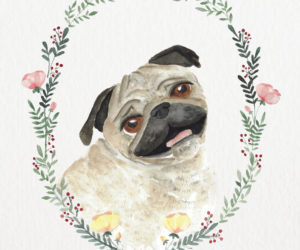 Print mopsíka